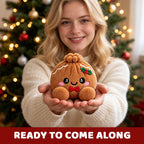 Christmas Dumpling Plush Blind Box Collection
