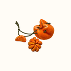Fruit-Shaped Magnetic Squeeze Toy (Free Felt Bag Included)